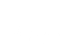 مرکز خرید 13